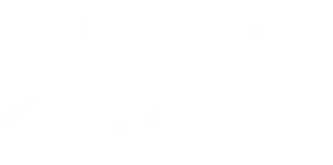 Stake_logo-white-300x149.png