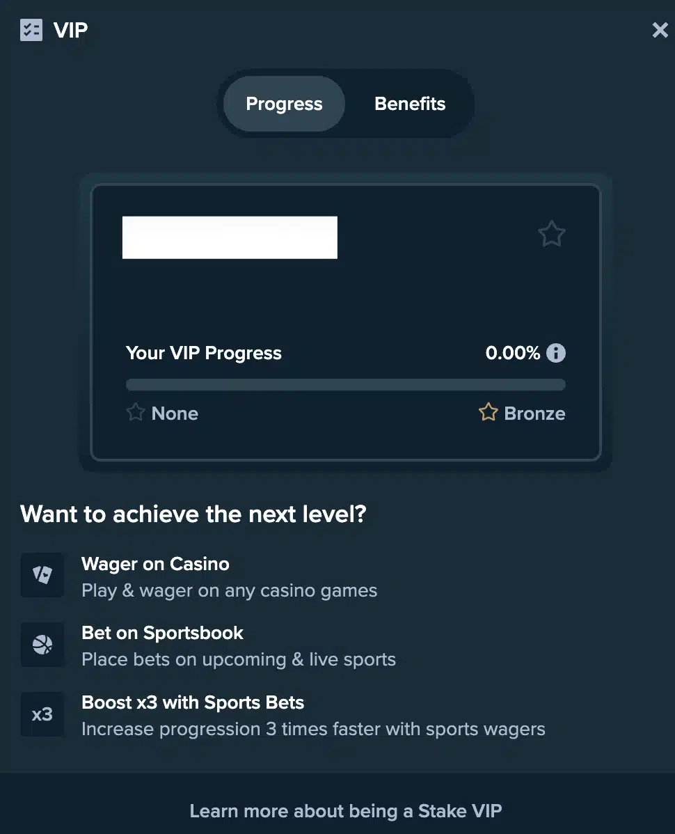 Stake Casino-VIP program-image-9